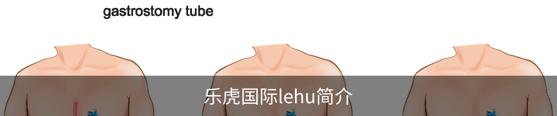 乐虎国际lehu简介