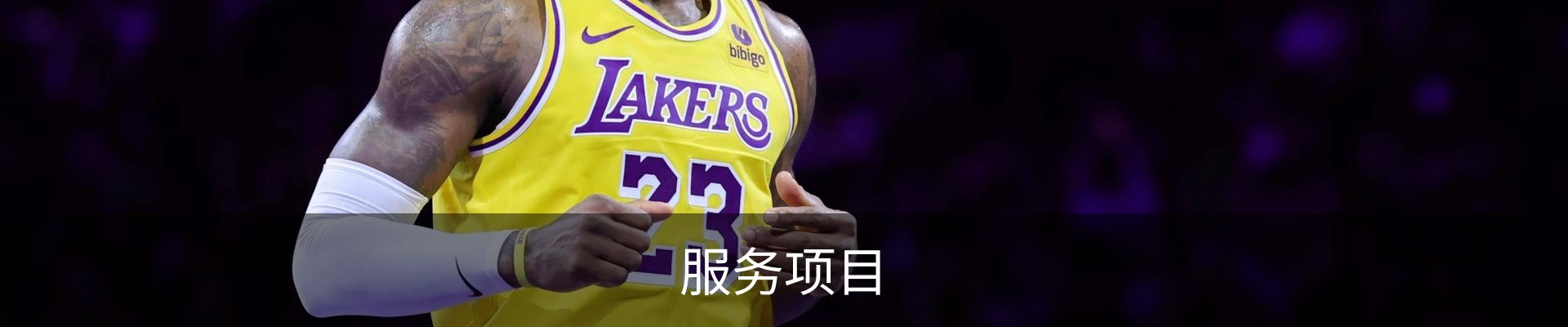 服务项目